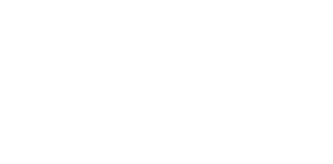 The Elkins Agency