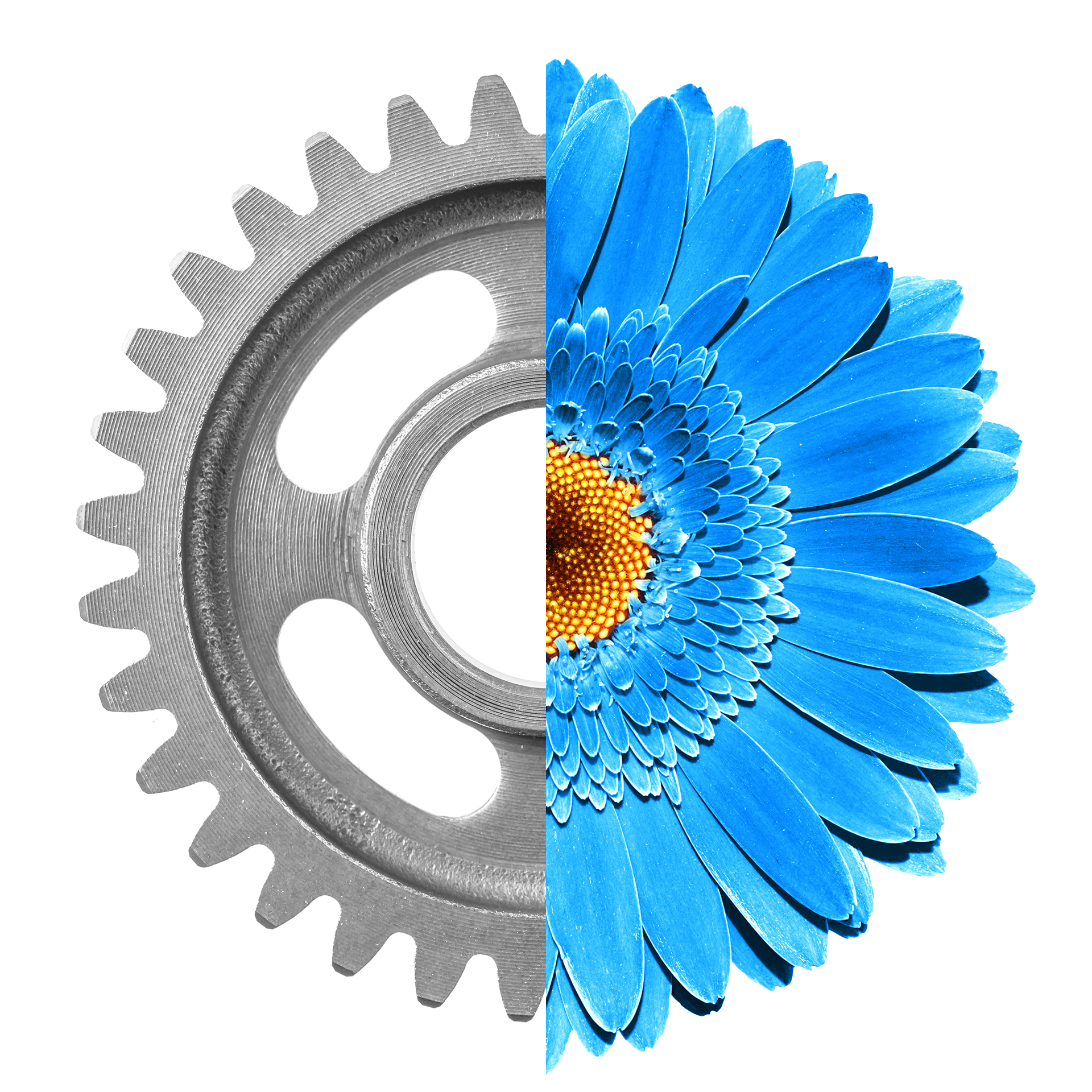A gear and a flower arranged in a seamless circle